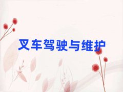 ǲ܇CӖ