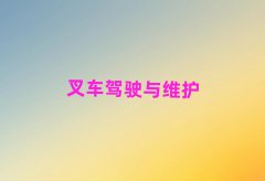t(y)ˎW(xu)˽W(xu)vÆ