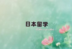 Ϸʏ]hW(xu)W(xu)Ă(g)Ӗ(xn)