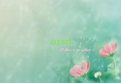 dƽW܇Sޱ^ǰʮ