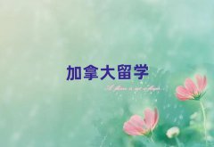 ꖼôWнǰʮ