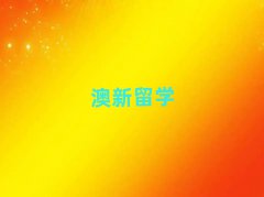 (yng)^(q)VW(xu)C(j)(gu)