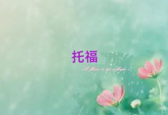 иһ(du)һӖ(xn)ʮ