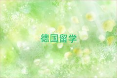 ɶ(gu)W(xu)нC(j)(gu)ǂ(g)?ַǰʮ