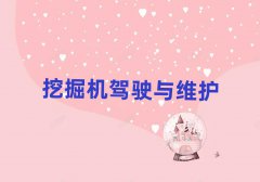 2025ꖌWھC