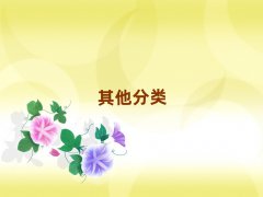 ̫ԭWnoip10