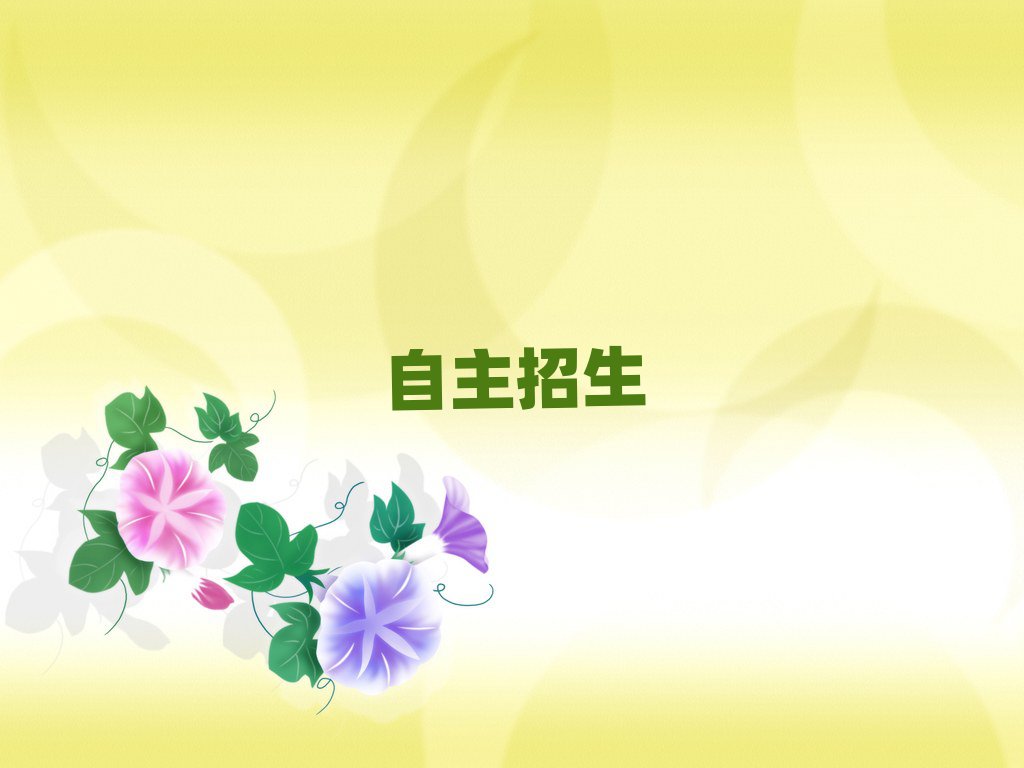2019°I(y)Ӗ