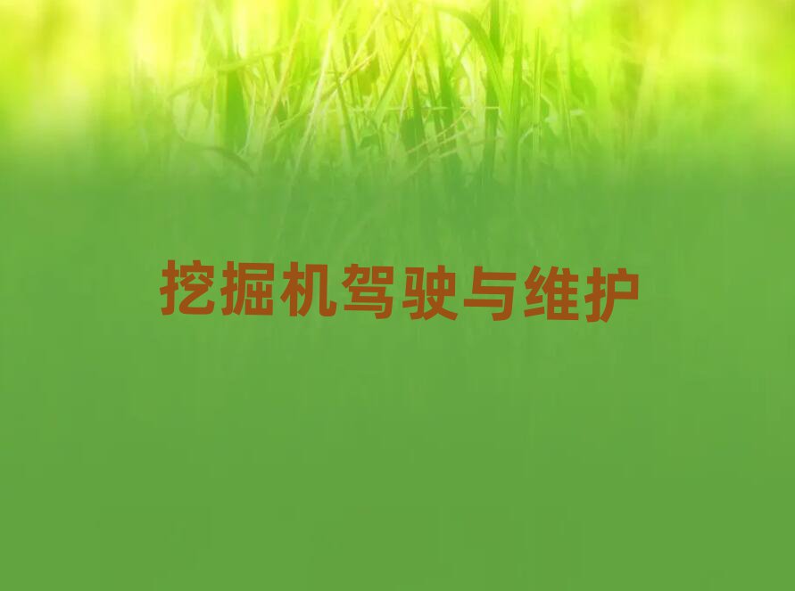 2019YꖌWC{CЩӖWУ