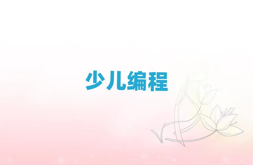 杭州蕭山區(qū)少兒編程培訓(xùn)學(xué)校