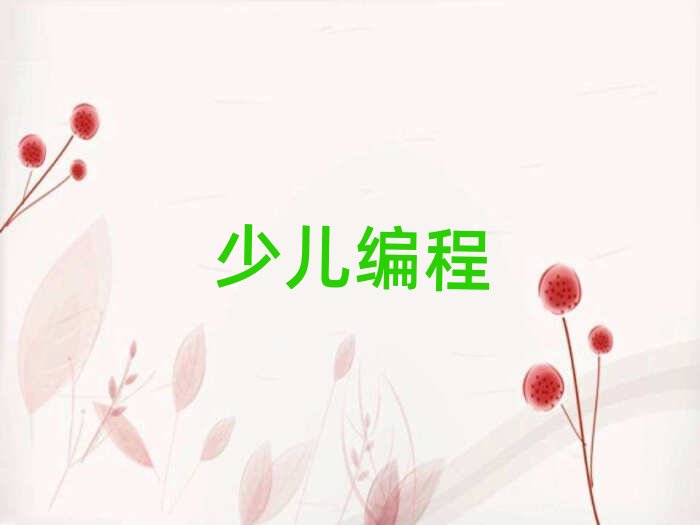 長沙少兒編程培訓(xùn)學(xué)校