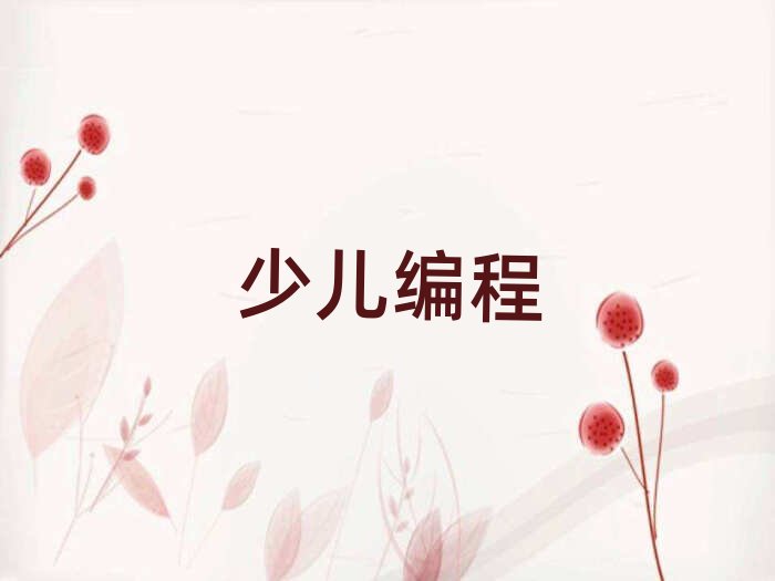 北京懷柔區少兒編程培訓學校