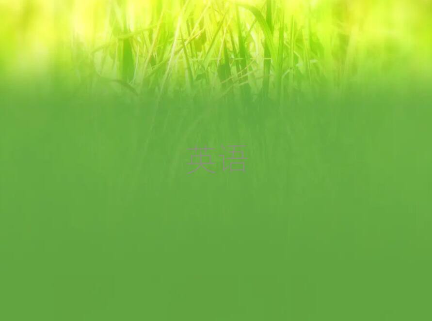 2019̄ӢZZWУ