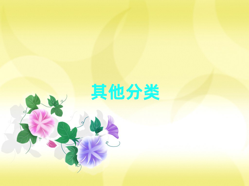 2019IССˌWУ