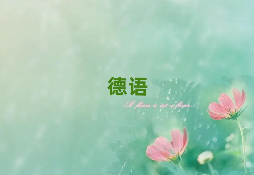 2019北京望京哪個培訓班學少兒德語比較好