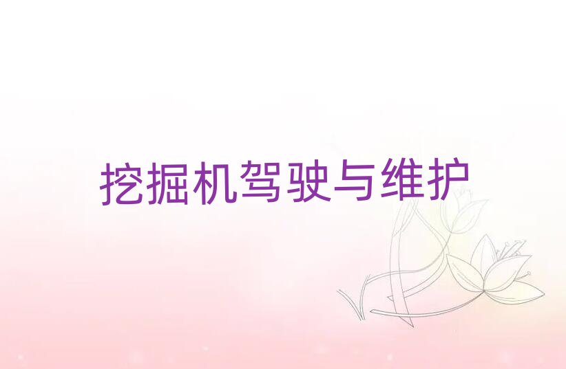 2019年簡陽挖土機駕駛證夏季培訓班