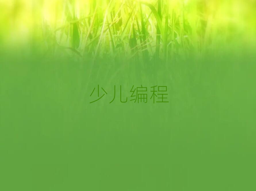 鄭州讀中學生編程哪個學校好