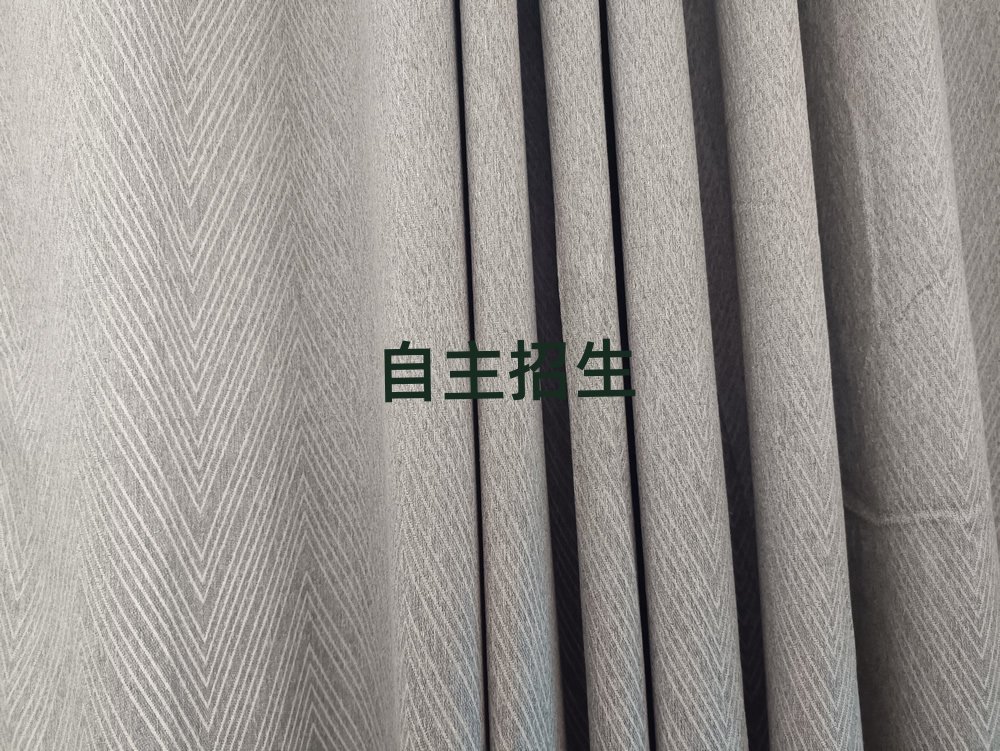 南京到哪里學自主招生好