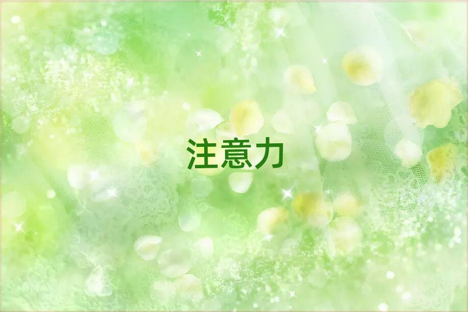 2019年上海兒童專注力訓練學校哪間好