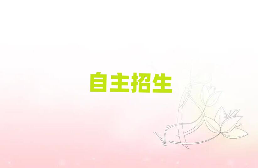 2019݈