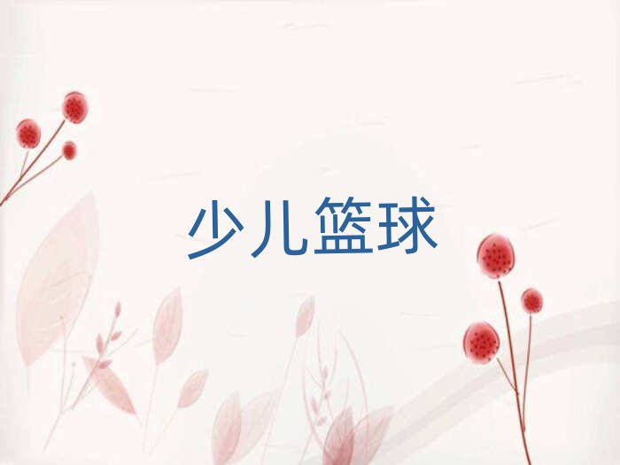 青島市北區(qū)連云港路小學(xué)生籃球