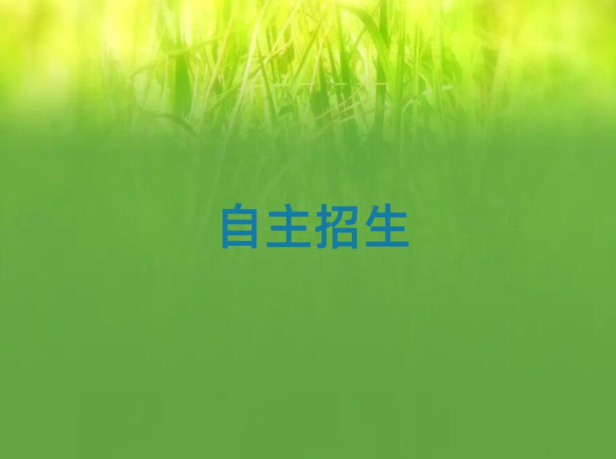 2019݌W