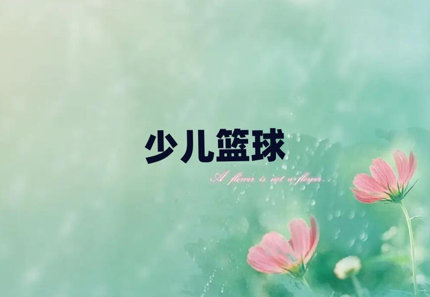 武漢體育學院兒童籃球