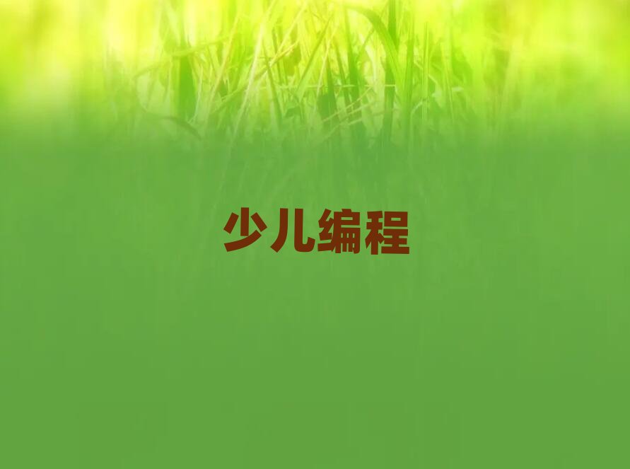 固安少兒編程培訓學校