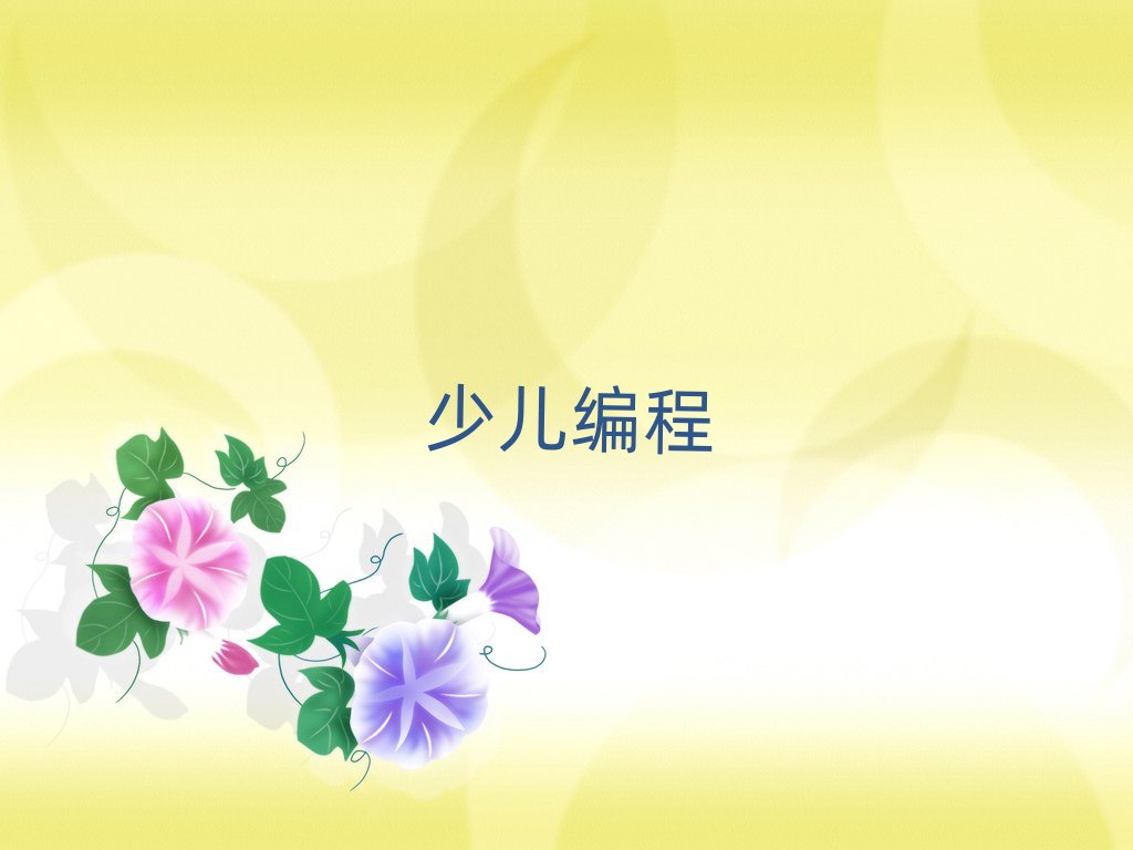 2019北京有特點娃娃編程