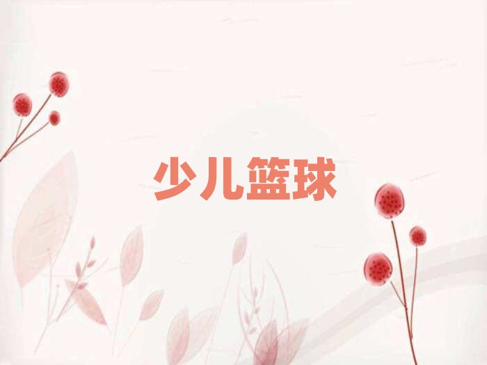 武漢武昌區青少年籃球