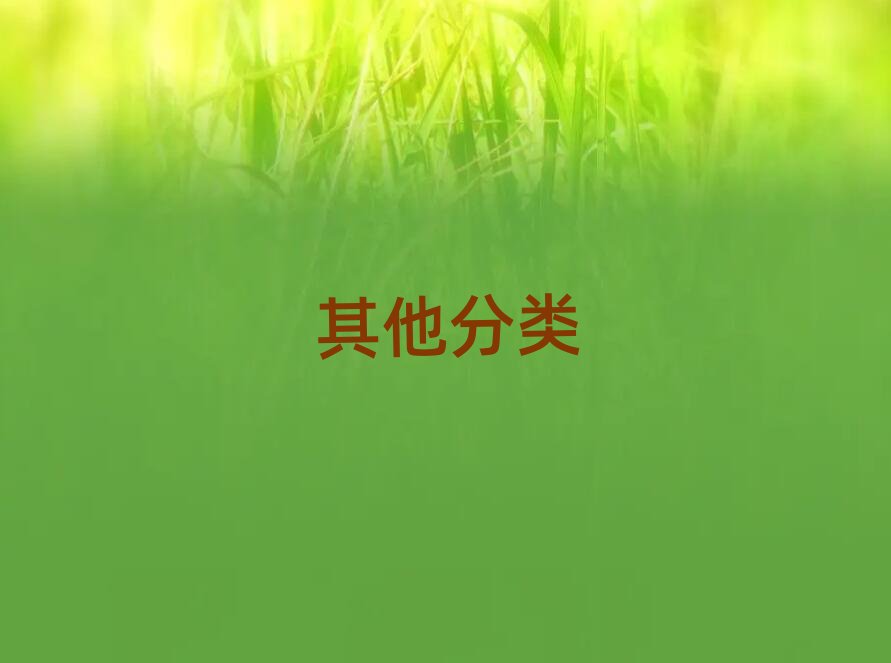 2019年5月上海學夏令營要多少學費