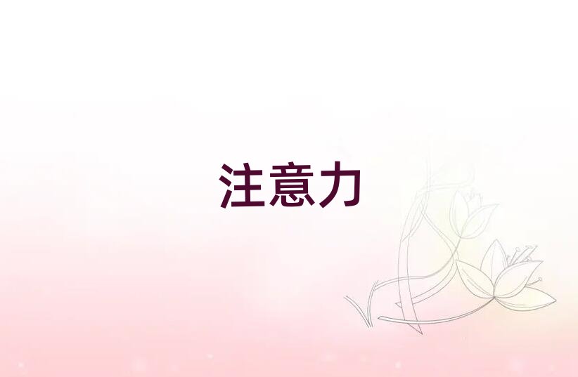 上海少兒多動癥糾正資格培訓