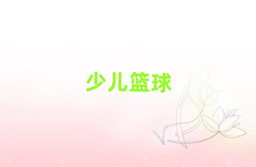 武漢武昌區青少年籃球