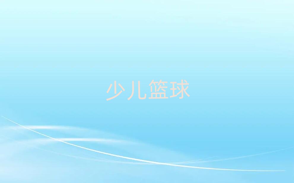 廣州天河區(qū)沙太路兒童籃球