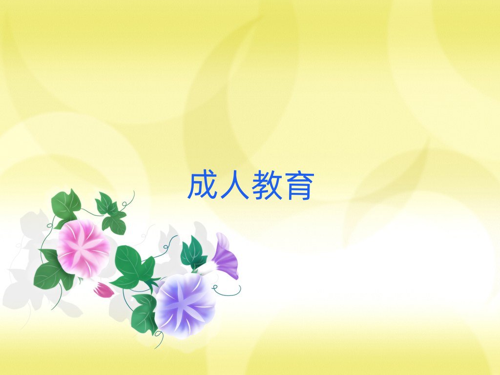 淄博toefl哪個學校好