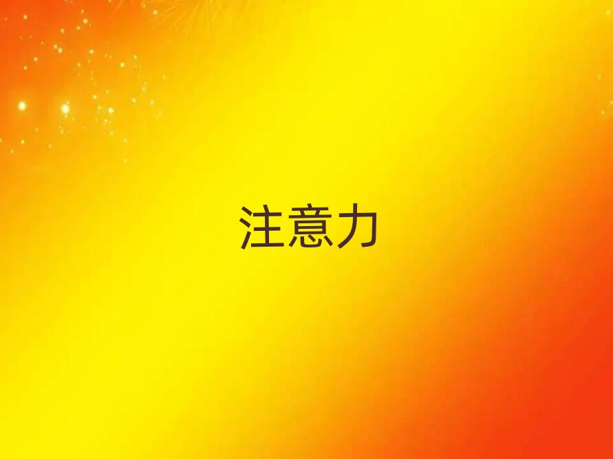 2019年下半年杭州專業(yè)兒童注意力訓(xùn)練培訓(xùn)