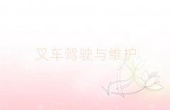 2025SW˼ʲôWУ