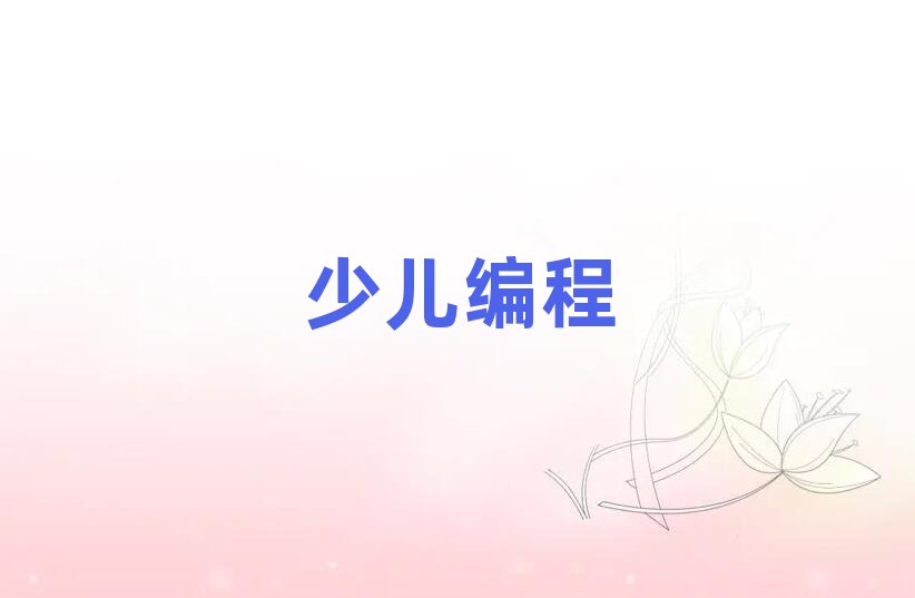 武漢少兒編程培訓學校