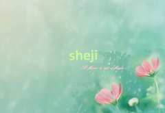 l(xing)PȪ^(q)иӖ(xn)