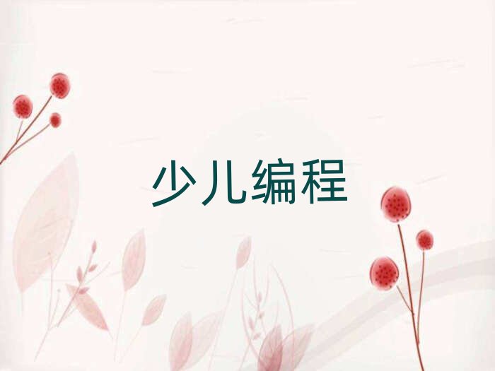 長(zhǎng)沙少兒編程培訓(xùn)學(xué)校