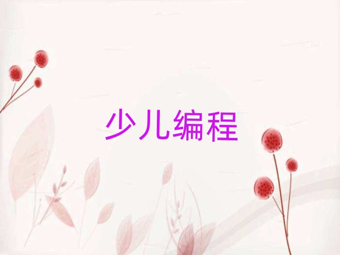 北京童程童美少兒編程培訓學校