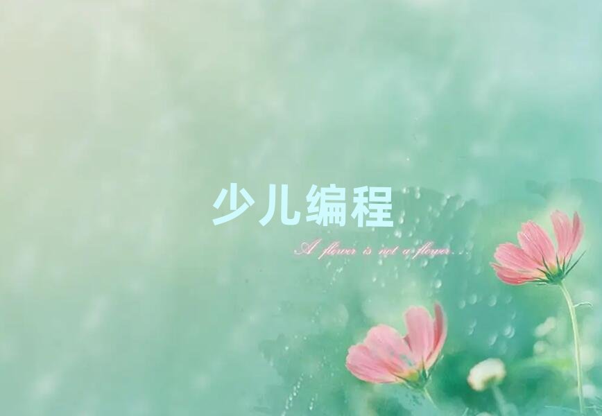 成都少兒編程培訓(xùn)學(xué)校