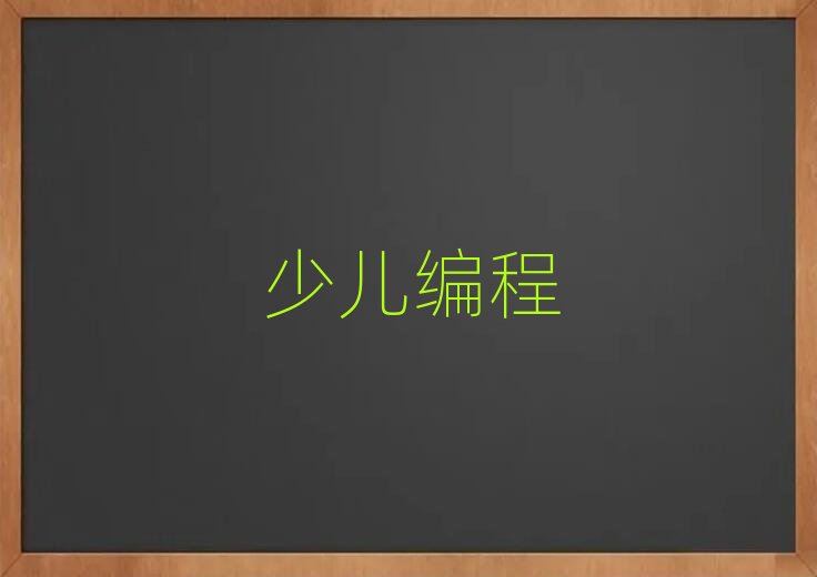 深圳羅湖區去哪里學少兒編程好