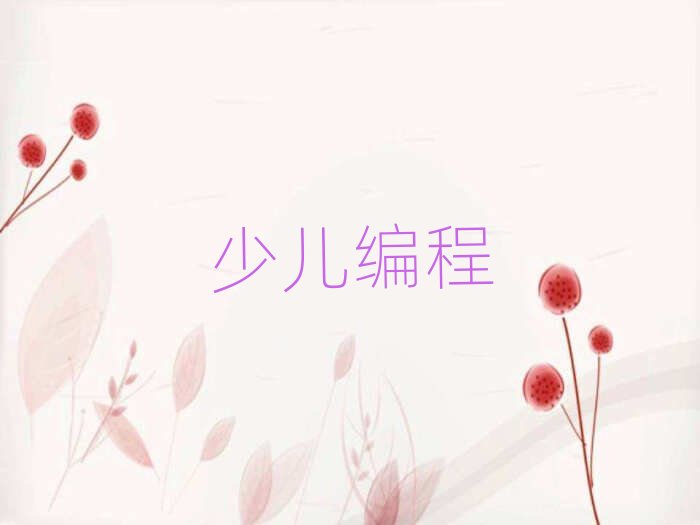 海口少兒編程培訓(xùn)學(xué)校