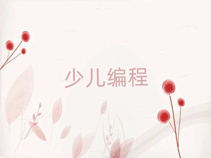 保定少兒編程培訓(xùn)學(xué)校