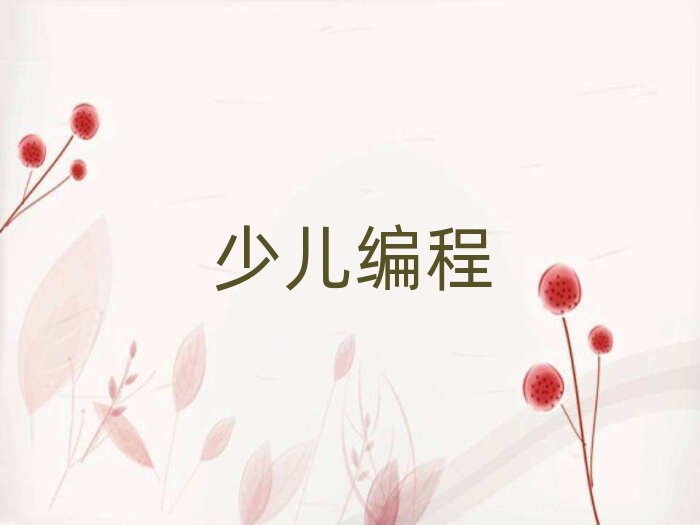 2020年徐州賈汪區(qū)孩子編程培訓(xùn)班報(bào)名入口