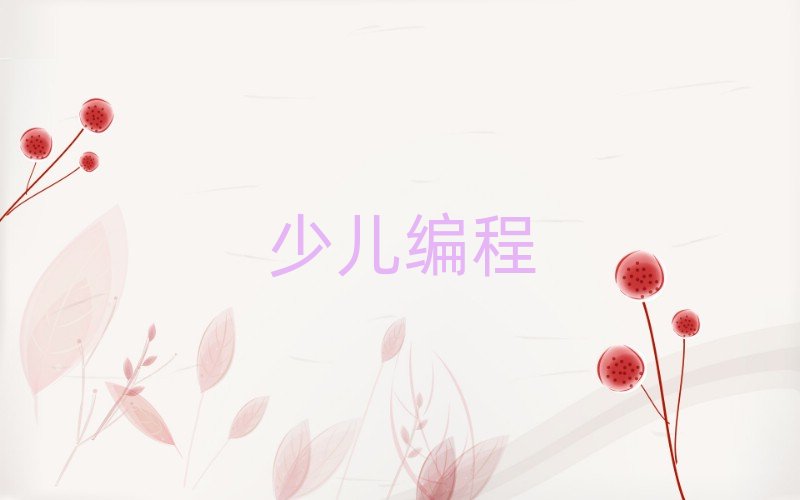 沈陽少兒編程培訓學校