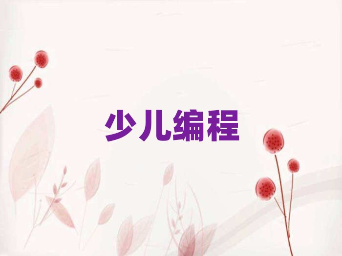 長沙望城區學初中生編程在哪里學