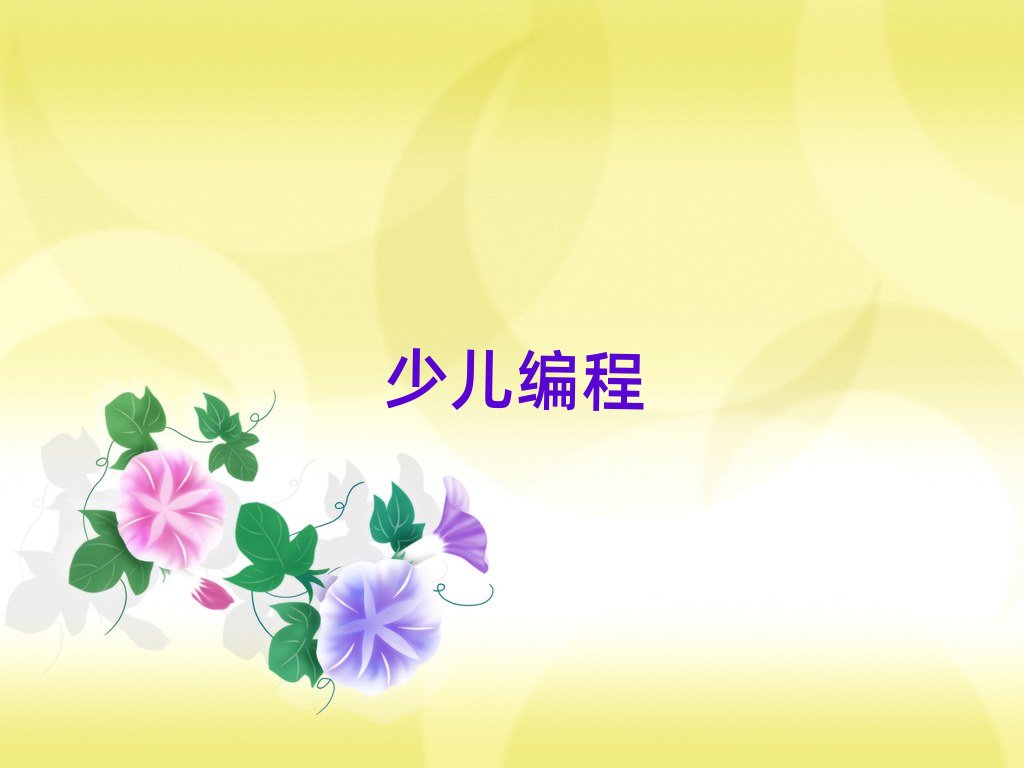 北京教中學(xué)生編程的機構(gòu)