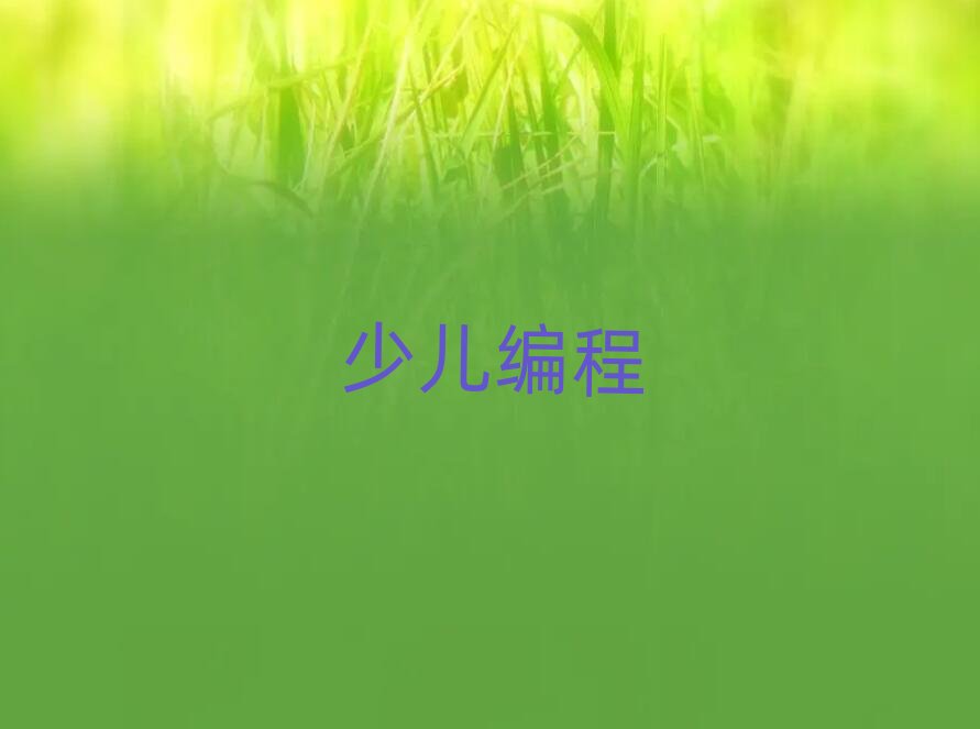 大連青少年編程培訓學校