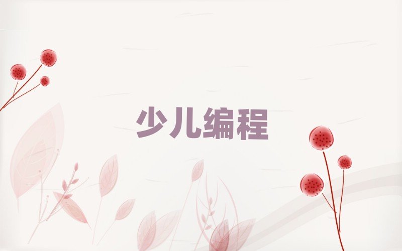 北京小學生編程培訓學校